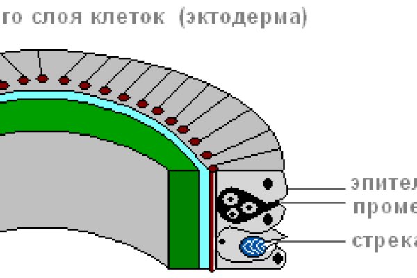 Kraken вывод средств